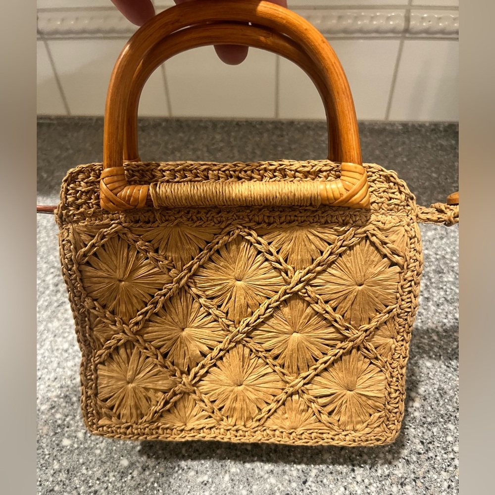 Fossil Tan Woven Mini Bag with Wooden Handle